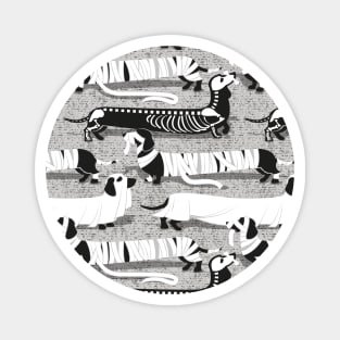 Spooktacular long dachshunds // pattern // light grey background mummy ghost and skeleton dogs Magnet